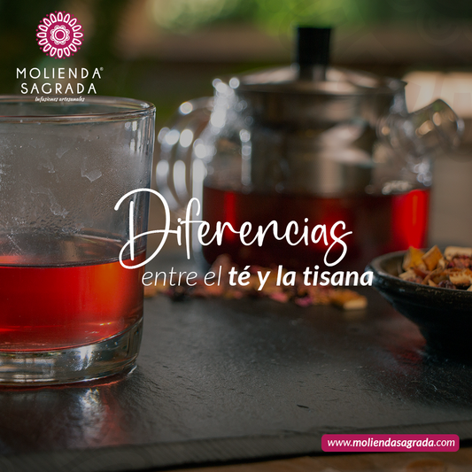 Diferencias entre té y tisana