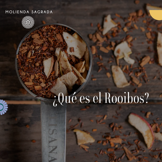¿Qué es el Rooibos? 🫖🌾