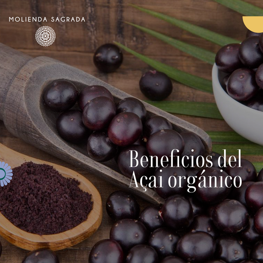 Beneficios del Acai Organico