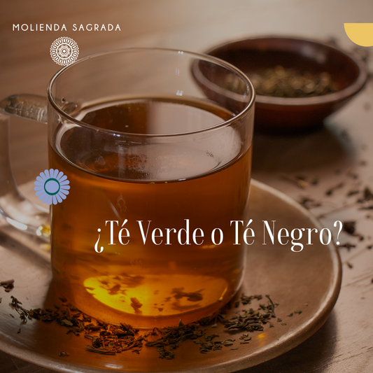¿Cuál elegir? ¿Té Verde o Té Negro?