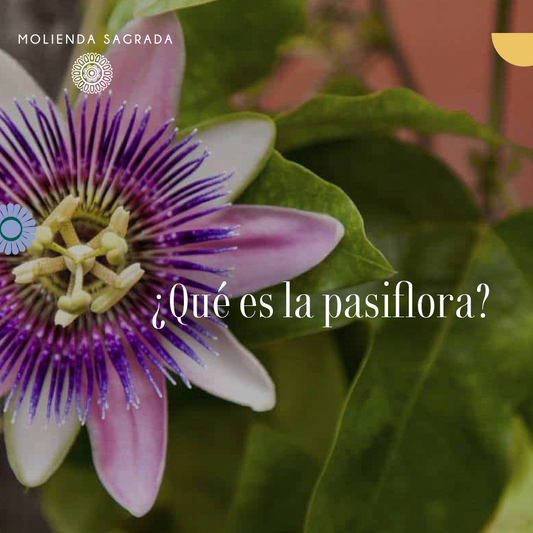 ¿Pasiflora?