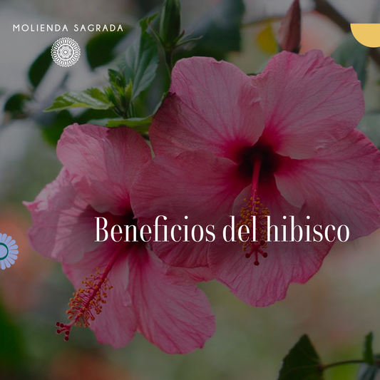 Beneficios del Hibisco 🌺