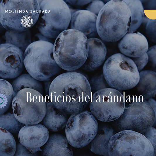 Beneficios de los arándanos