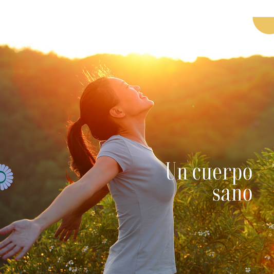 Un cuerpo más sano