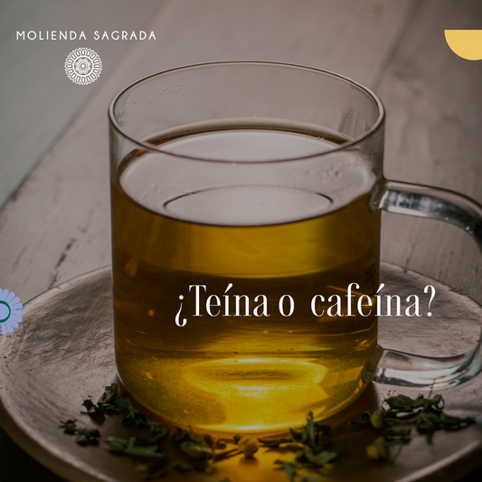 ¿Teína o cafeína?