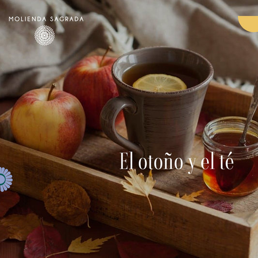 El otoño y el té 🍂