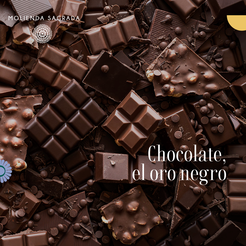 El chocolate, el oro negro 🍫