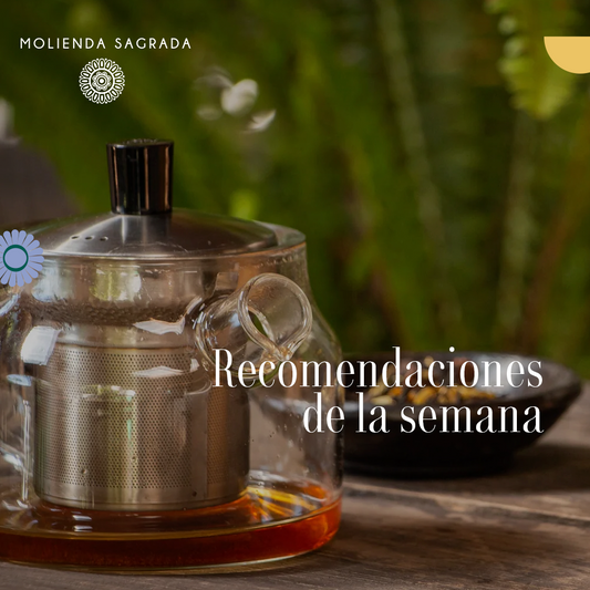 Recomendaciones de la semana✨