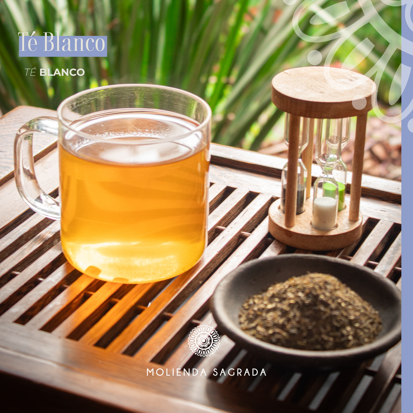 Té Blanco