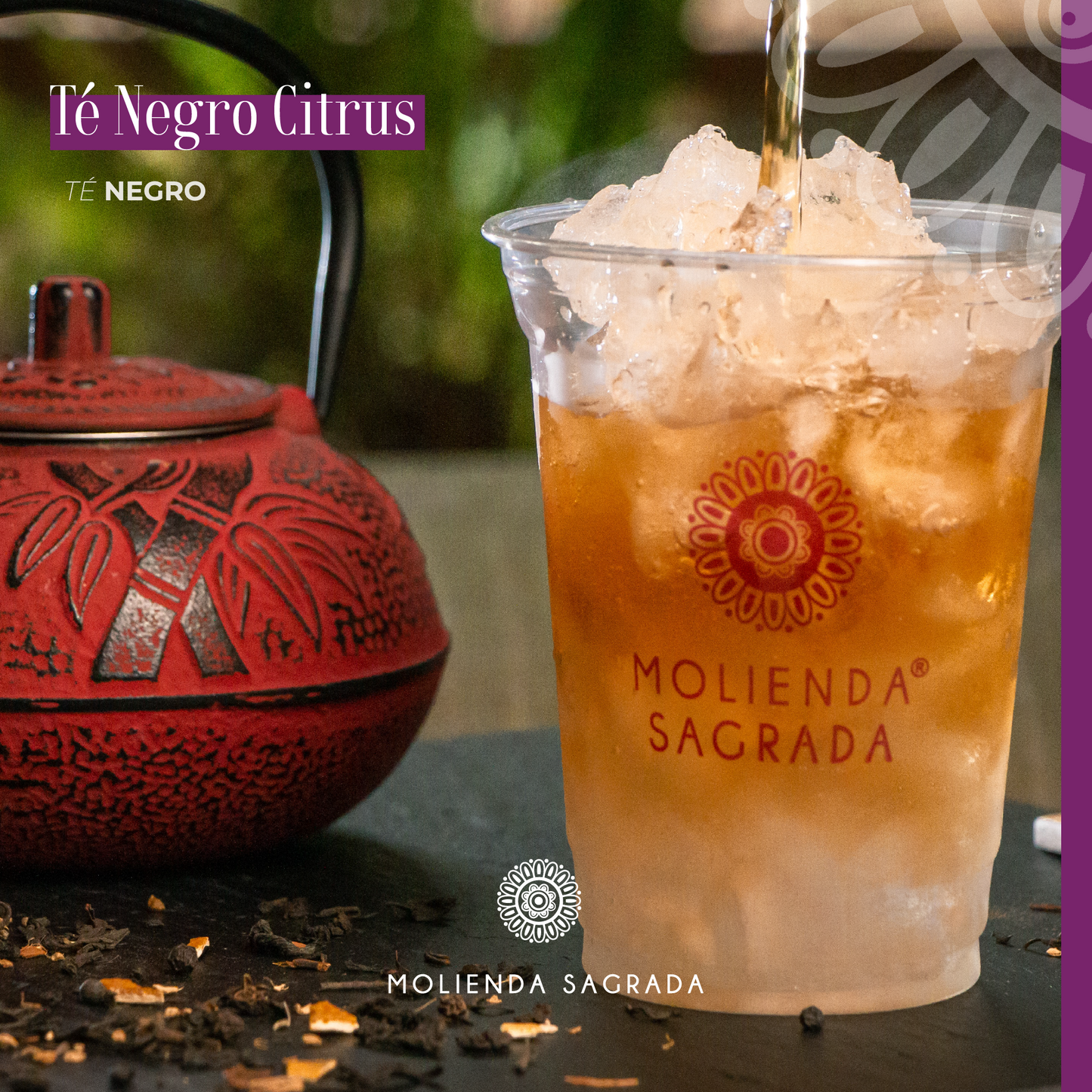 Té Negro Citrus