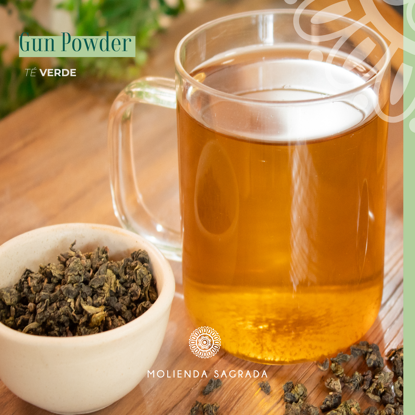 Té Verde Gun Powder