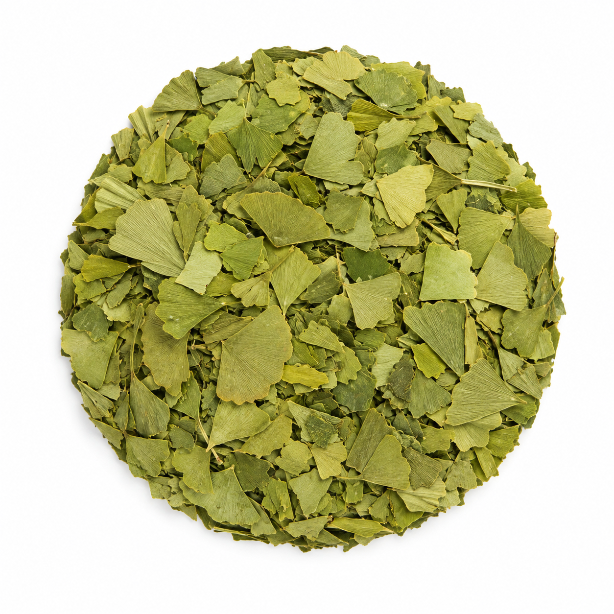 Ginkgo biloba en hoja - herbolaria a granel Molienda Sagrada