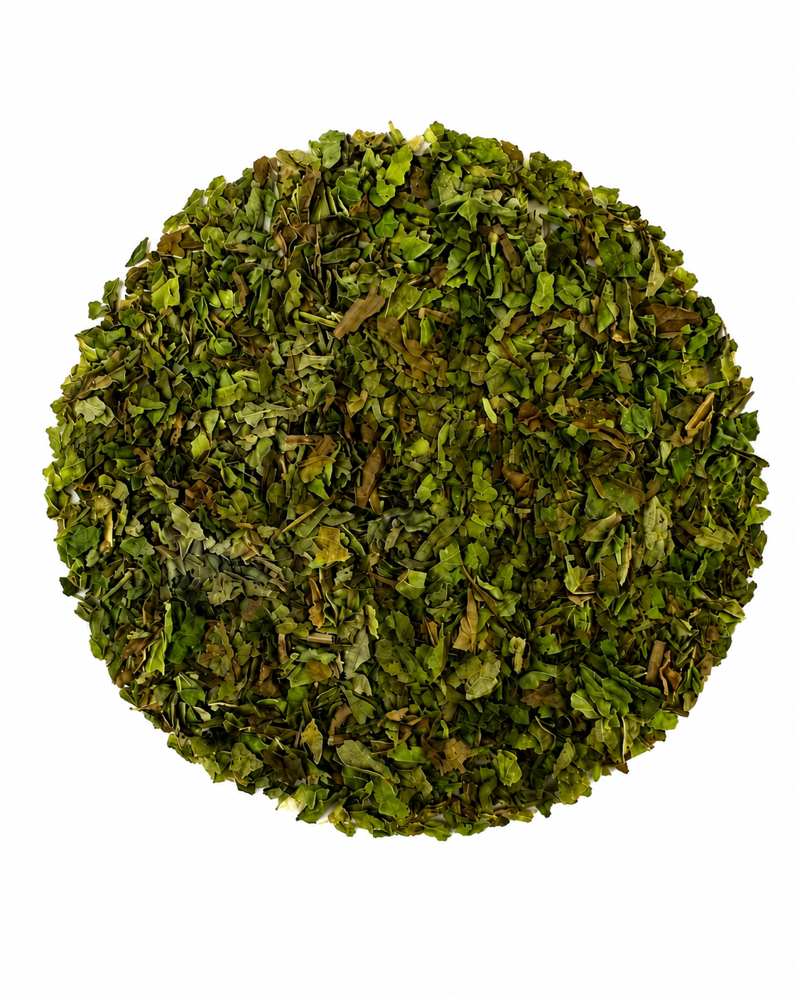 Menta Verde en Hoja
