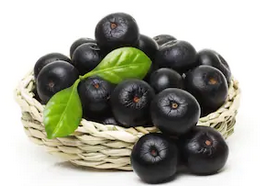 Acai puro en polvo
