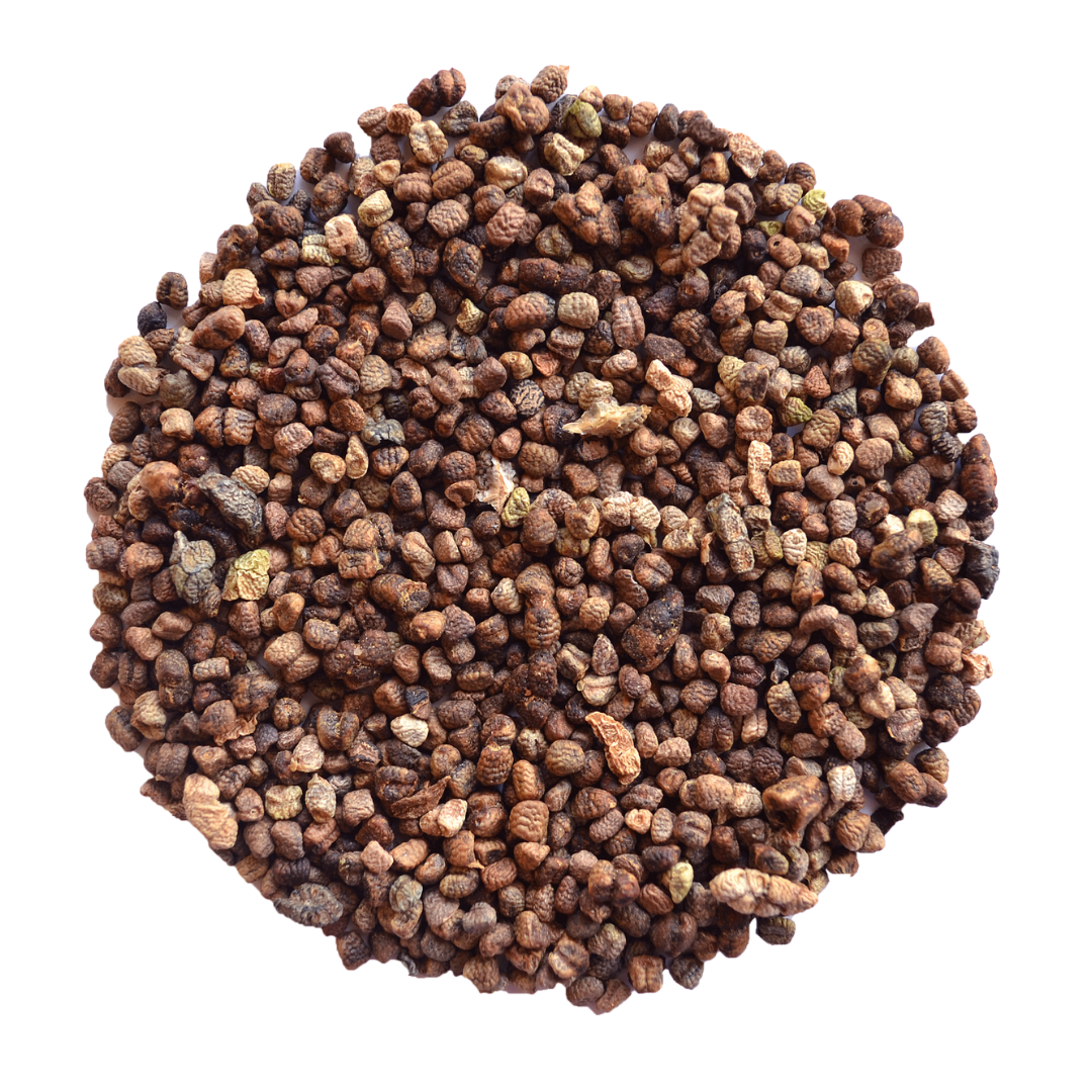 Cardamomo