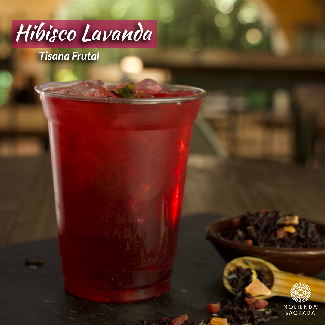 Tés Fríos 470 ml