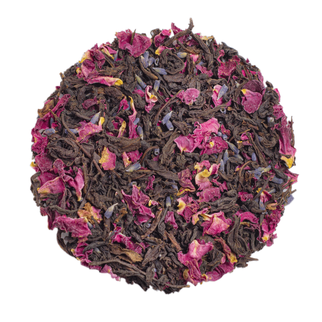 Negro Lavanda