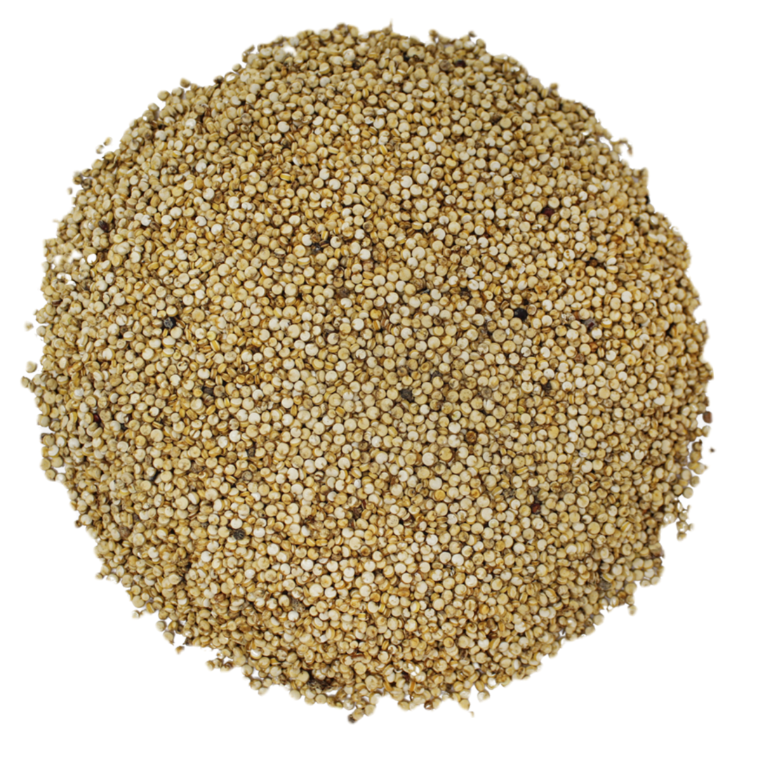 Quinoa