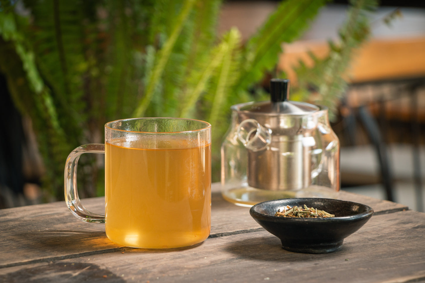 Turmeric Jengibre