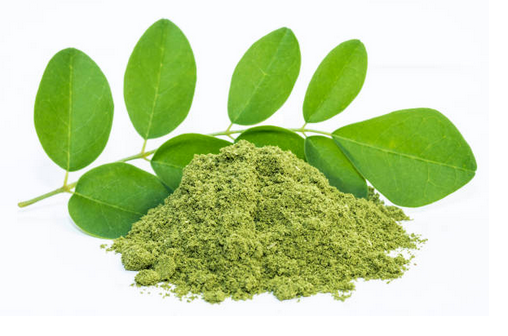 Moringa en Polvo