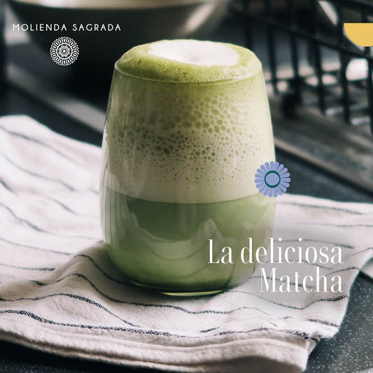 La deliciosa Matcha