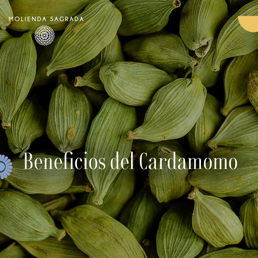 Beneficios del Cardamomo