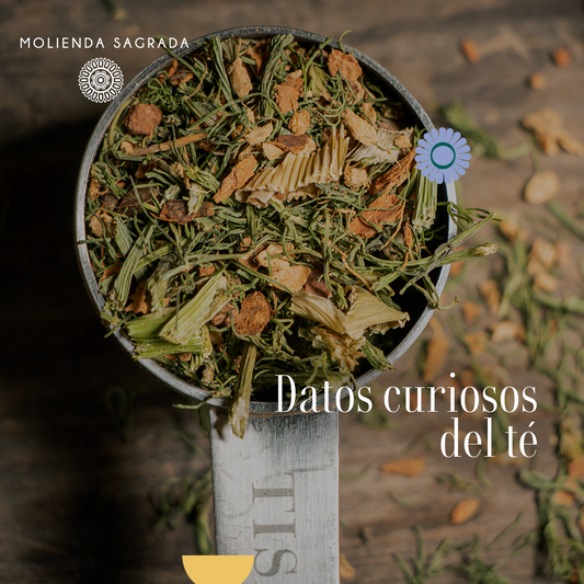 ¡Lo que no conocías de té!