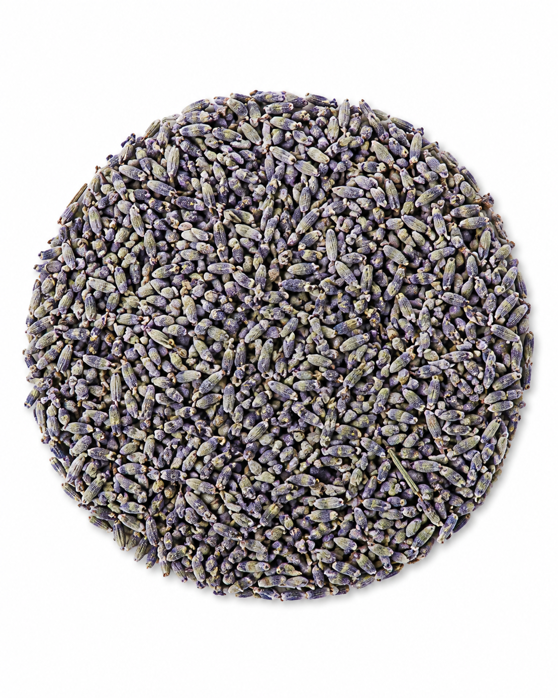Lavanda Inglesa en flor - herbolaria a granel Molienda Sagrada