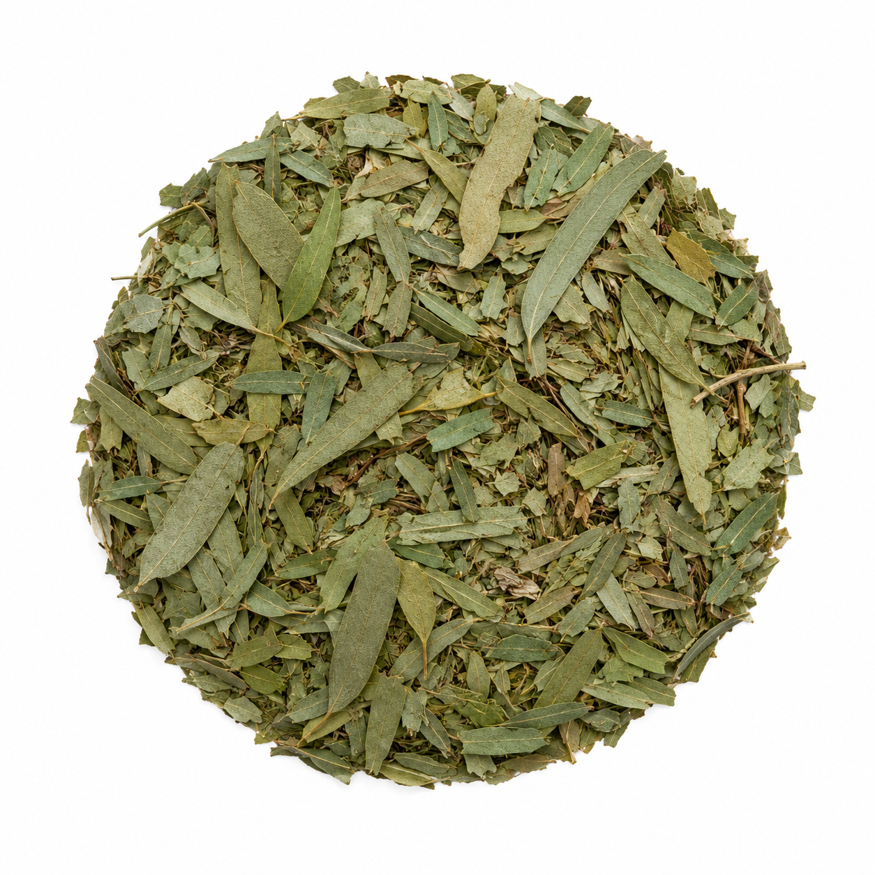 Hoja de eucalipto - herbolaria mexicana a granel Molienda Sagrada