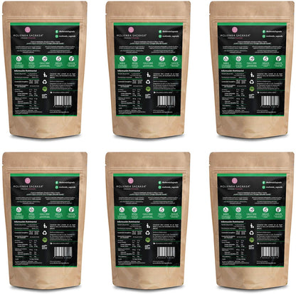 6 Pack Selección Blends con Té Verde 600 gr más Tetera Infusora